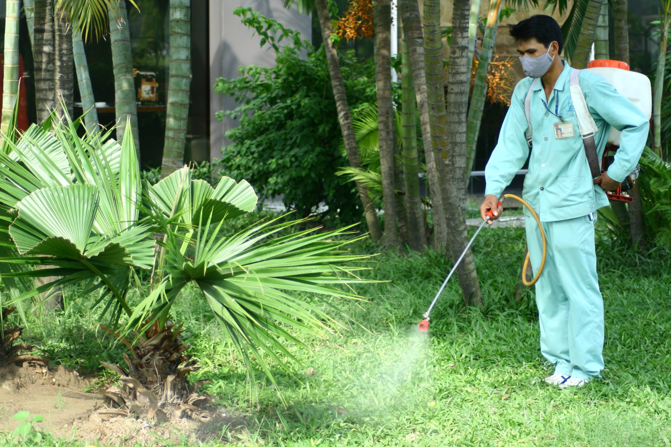 Chăm sóc cây cảnh và diệt côn trùng